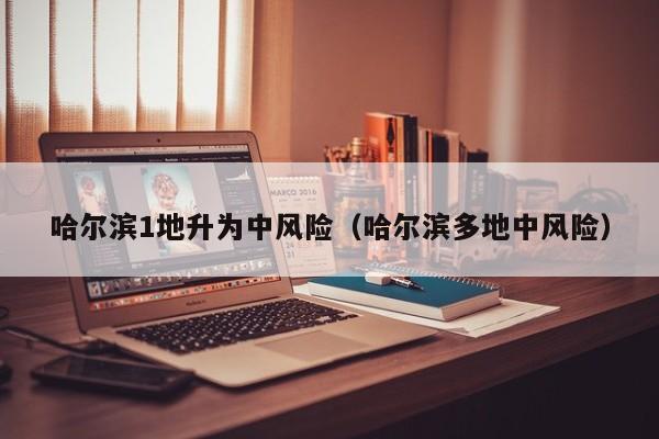 哈尔滨1地升为中风险（哈尔滨多地中风险）