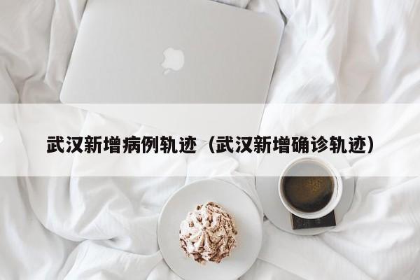 武汉新增病例轨迹（武汉新增确诊轨迹）
