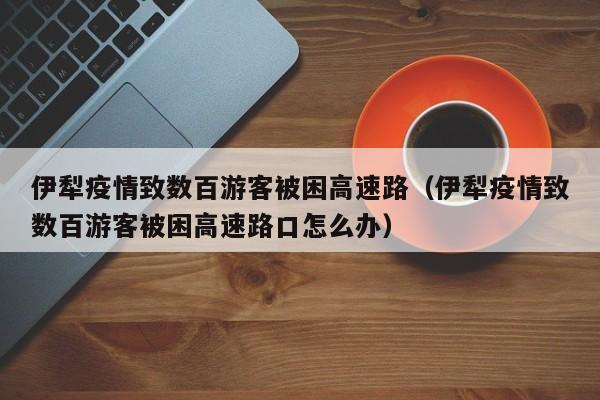伊犁疫情致数百游客被困高速路（伊犁疫情致数百游客被困高速路口怎么办）