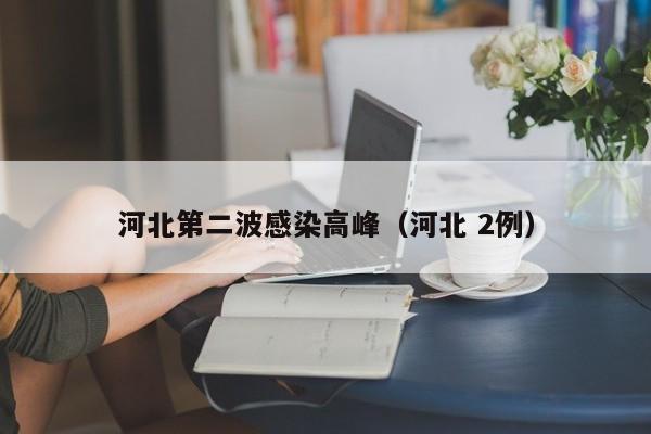 河北第二波感染高峰（河北 2例）
