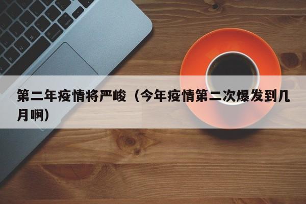 第二年疫情将严峻（今年疫情第二次爆发到几月啊）