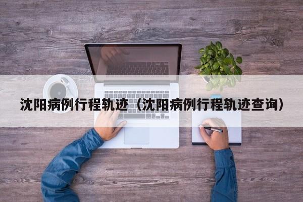 沈阳病例行程轨迹（沈阳病例行程轨迹查询）