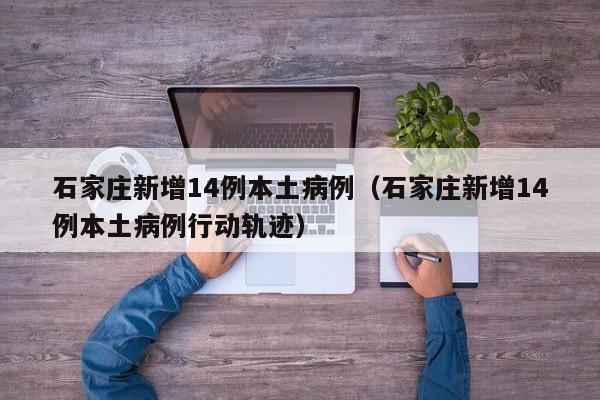 石家庄新增14例本土病例（石家庄新增14例本土病例行动轨迹）