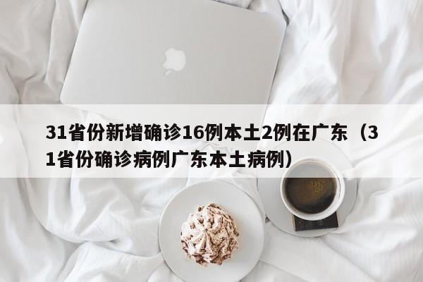 31省份新增确诊16例本土2例在广东（31省份确诊病例广东本土病例）