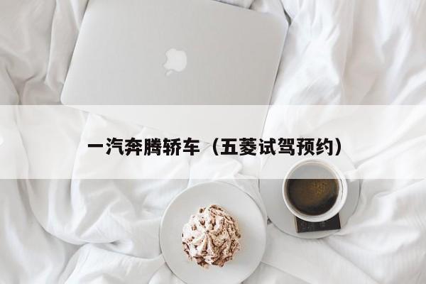 一汽奔腾轿车（五菱试驾预约）