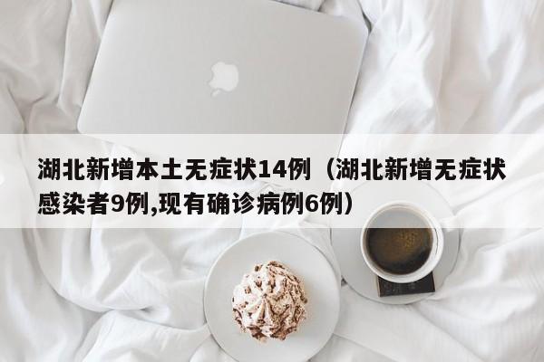 湖北新增本土无症状14例（湖北新增无症状感染者9例,现有确诊病例6例）