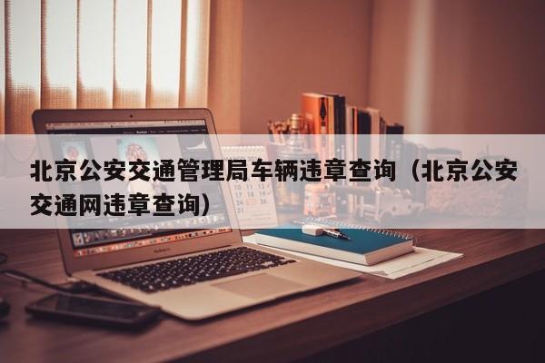 北京公安交通管理局车辆违章查询（北京公安交通网违章查询）