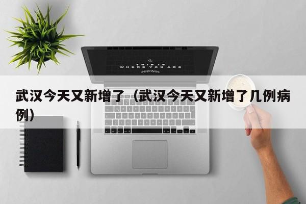 武汉今天又新增了（武汉今天又新增了几例病例）